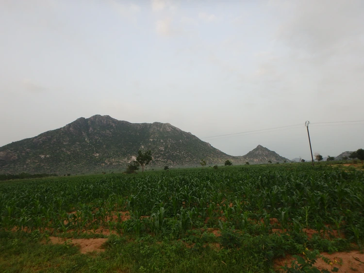 Mont Wili-wili pendant l'hivernage